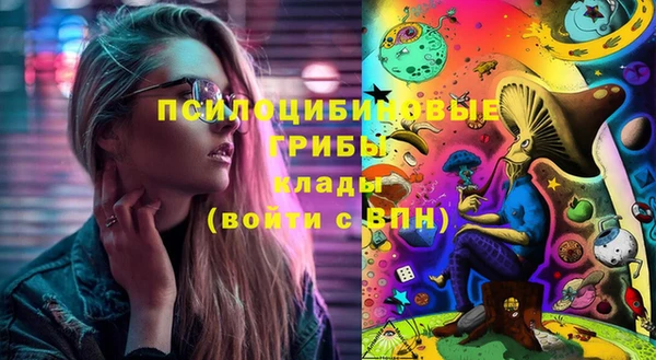 spice Верея