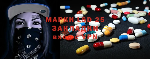spice Верея