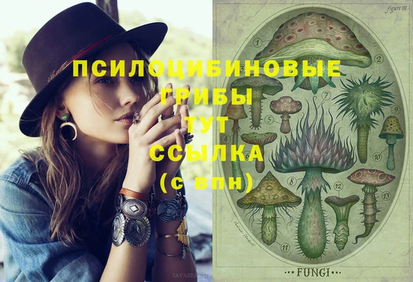 бутират Верхний Тагил