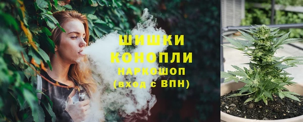 spice Верея
